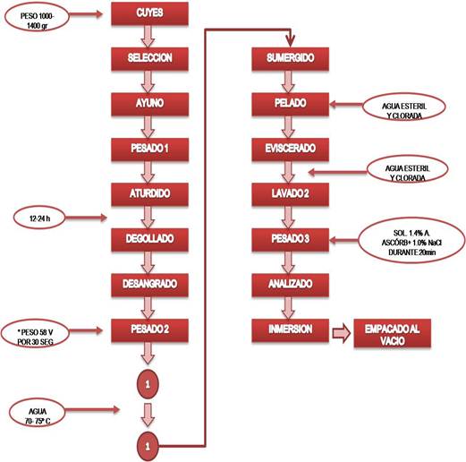 Descripción: FLUJOGRAMA.jpg